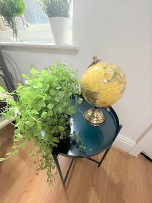 41 Milton Street - Photo 1