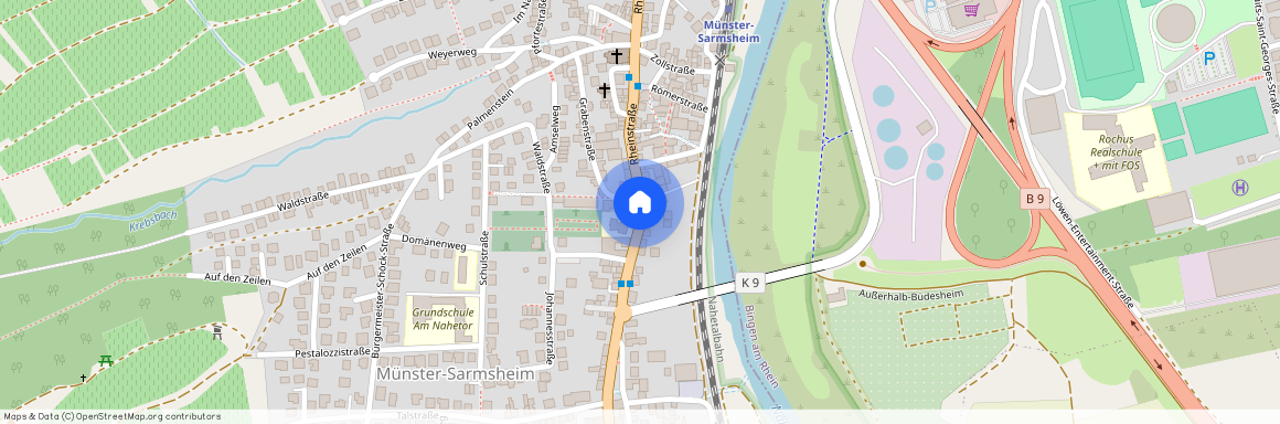 55424 Rheinland-Pfalz - Münster-Sarmsheim