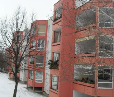 1-Zimmer-Wohnung mit Loggia, Top 302 - Foto 2