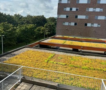 Zonnebaarsstraat 14, Hoogvliet Zuid, 3192LC, Hoogvliet Rotterdam - Photo 2