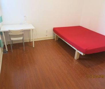 Downtown Toronto, College/Bathurst Basement room shared bath 800/Month - Photo 3