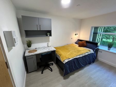 Studio Flat, Humphrey Road, M16 - Photo 3