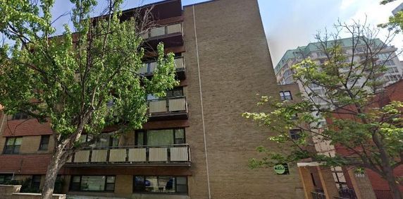 1 CH - 1 SDB - Montréal - $1,350 /mo - Photo 2