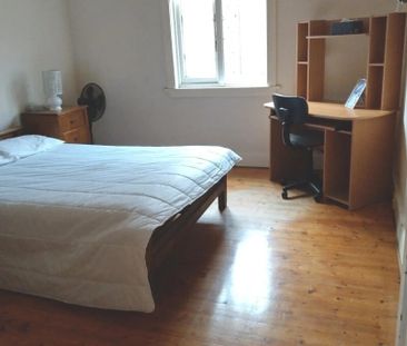 Carlton - Photo 2