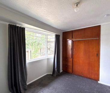 113c Ruskin Street, Addington, NZ 8041 - Photo 1