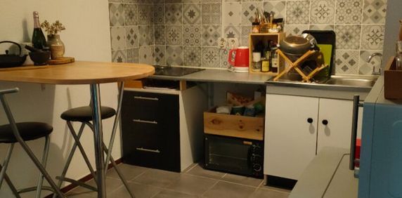 Appartement 2 pièces à Lille - Photo 2