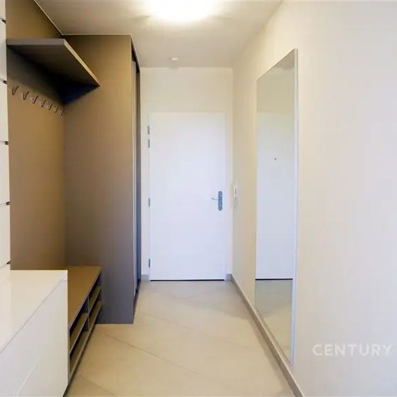 Pronájem luxusního bytu 2+kk Pitkovice - Photo 1