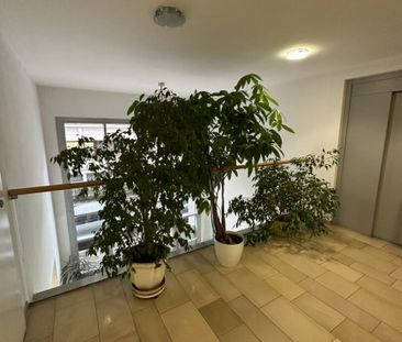 KARLSPLATZ IS CALLING: ruhige 2 Zimmer-Wohnung mit Gemeinschaftsdac... - Photo 2
