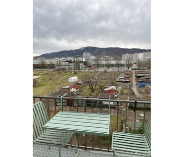 3½ Zimmer-Wohnung in Zürich, möbliert, auf Zeit - Foto 4