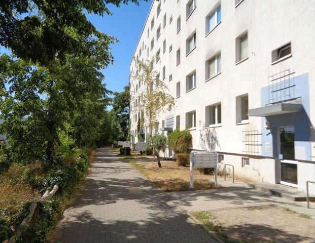 3 Raum Wohnung in Hohenstücken noch verfügbar - Photo 1