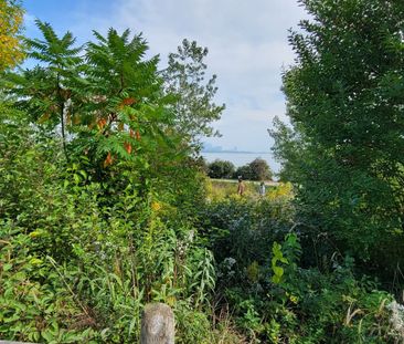 For Lease - 38 Annie Craig Drive Unit# 509, Toronto, Ontario - Photo 2