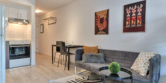 Studio - Montréal - $1,145 /mo - Photo 3