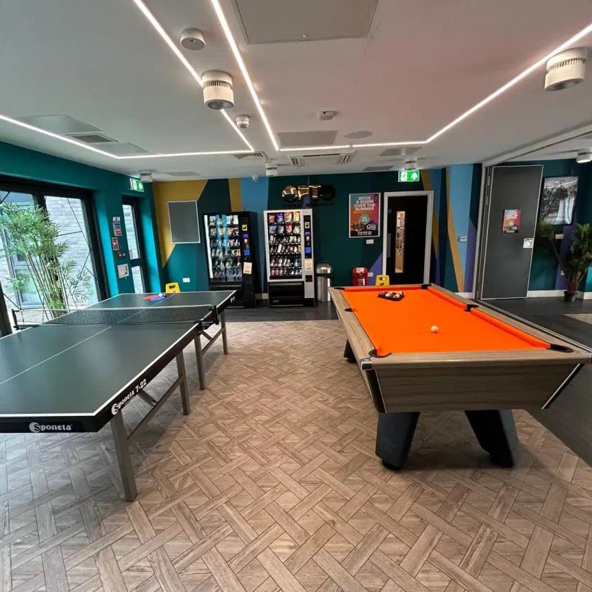 Standard Studio - Photo 1