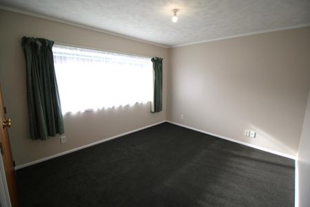 Freshly renovated on Vogel - Photo 2