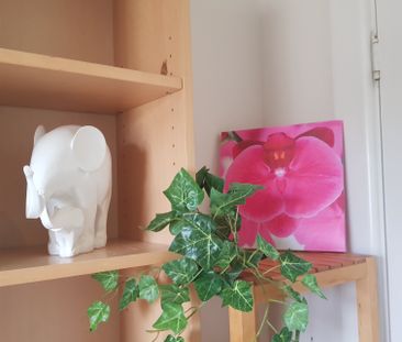 Dover Gardens - Photo 2