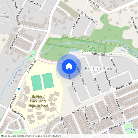 45 Prion Crescent, Qld 4300, Bellbird Park