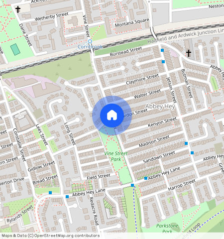 Vine Street, Manchester M18