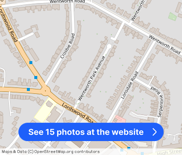 Wentworth Park Avenue, BIRMINGHAM - Photo 1