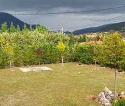 Μεζονέτα για ενοικίαση - Αράχωβα, - Photo 6