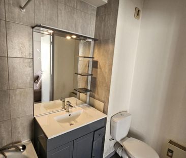 Location Appartement 1 pièce Meublé 22m² BORDEAUX 33000 - Photo 4