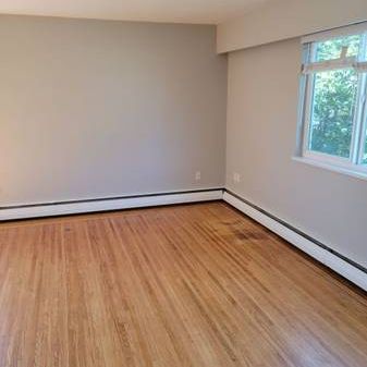 Large Bright Renovated 1 bedroom - Photo 3