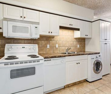 Renovated Suite - 1 Bedroom - Photo 1