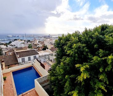 97 Carrer de la Drecera, Palma de Mallorca, Balearic Islands 07015 - Photo 4