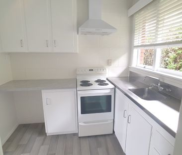 ONE TREE HILL Moana Avenue 2 bedroom unit - Photo 3