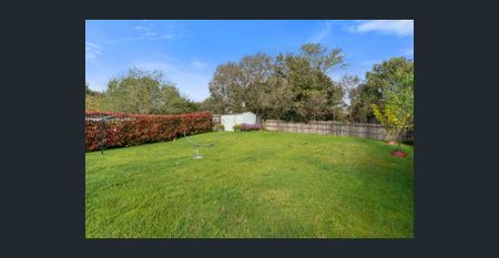 Walking Distance to Lakewood Shops - Photo 3