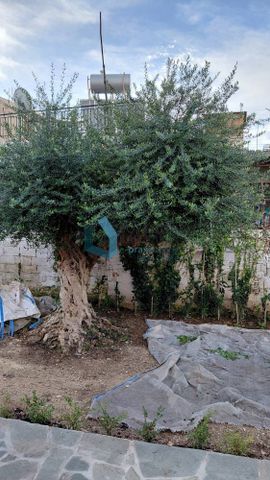 Μονοκατοικία 52 τ.μ. - Photo 3