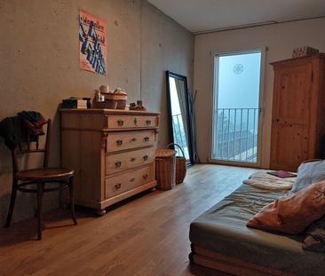 4-ROOM APARTMENT IN BERN – BERNE-FELSENAU, FURNISHED, TEMPORARY - Photo 2