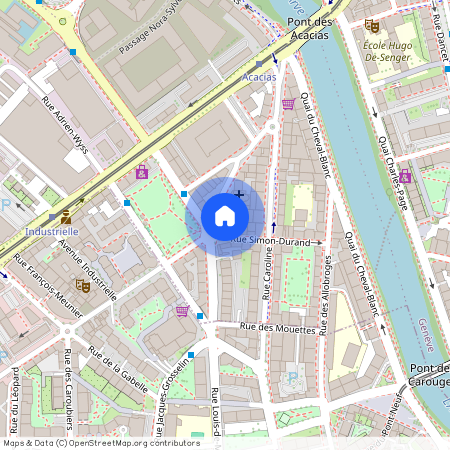 Rue Du Grand-Bureau 19, 1227 Acacias