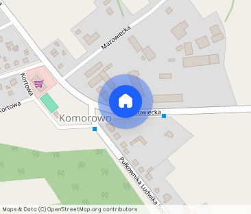 Wynajmę dom z podwórkiem - Photo 1