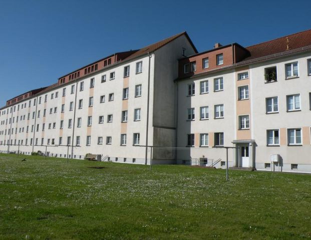 Zentrales Wohnen nahe der Stralsunder Innenstadt! - Foto 1