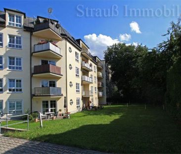 Schöne 2 Zimmer mit großem Balkon und neuem Laminat... - Foto 1