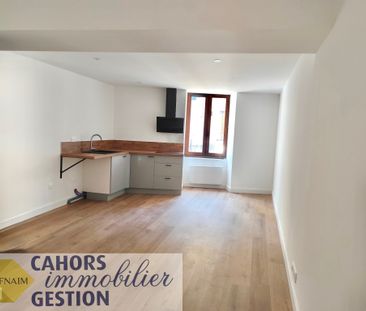 Location Appartement 1 pièce 24m² CAHORS 46000 - Photo 2
