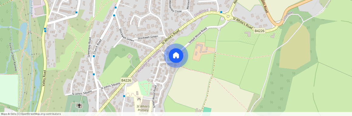 Sneyd Wood Road, Cinderford