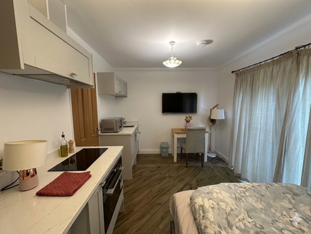 Studio to rent - Photo 3