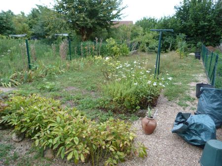 Location Maison de ville 2 pièces 40 m2 à Mehun-sur-Yèvre - Photo 4