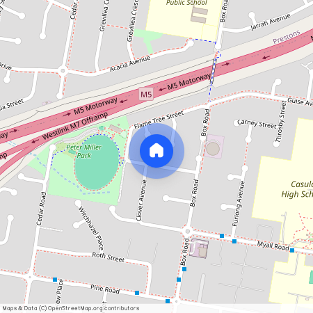 13 Flame Tree St, NSW 2170, Casula