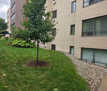 For Lease - 650 Cheapside Street Unit# B1, London East, Ontario - Photo 6