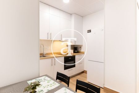 Monthly rental studio with 1 bedroom and 1 bathroom in Latina with direct access to parks and green areas - Photo 5