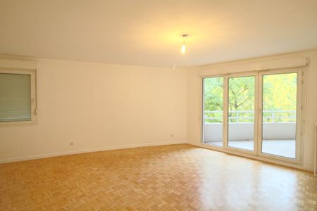 Co- Location 1 chambre dans un Appartement T4 de de 98m2 av balcon- a 15 mn a pied DOUA, INSA, CPE, IUT lyon - Photo 2