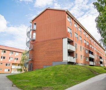 Ankarskatavägen 81 B, 94134, Piteå - Photo 4