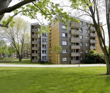 Aufgepasst! Schöne Wohnung sucht neue Bewohner! - Photo 6