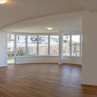 Helle 4.5-Zimmer-Wohnung mit Balkon und Garage in Wädenswil – sofort verfügbar - Foto 1