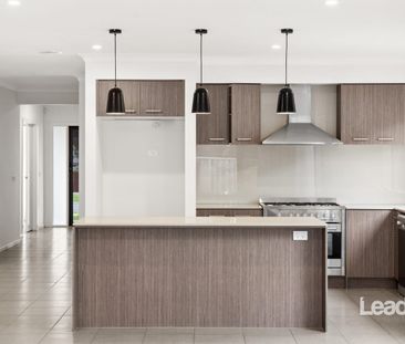 Stop! Look at this! - Photo 3