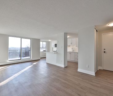 For Lease - 55 Woolley Street Unit# 208, Cambridge, Ontario - Photo 6