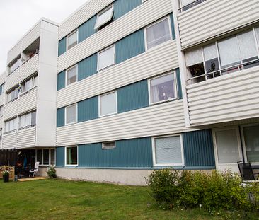 Hamnplan 18 B, 94161, Piteå - Photo 1