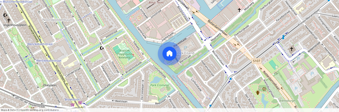 Zodiakplein 60, Binckhorst, 2516CD, Den Haag